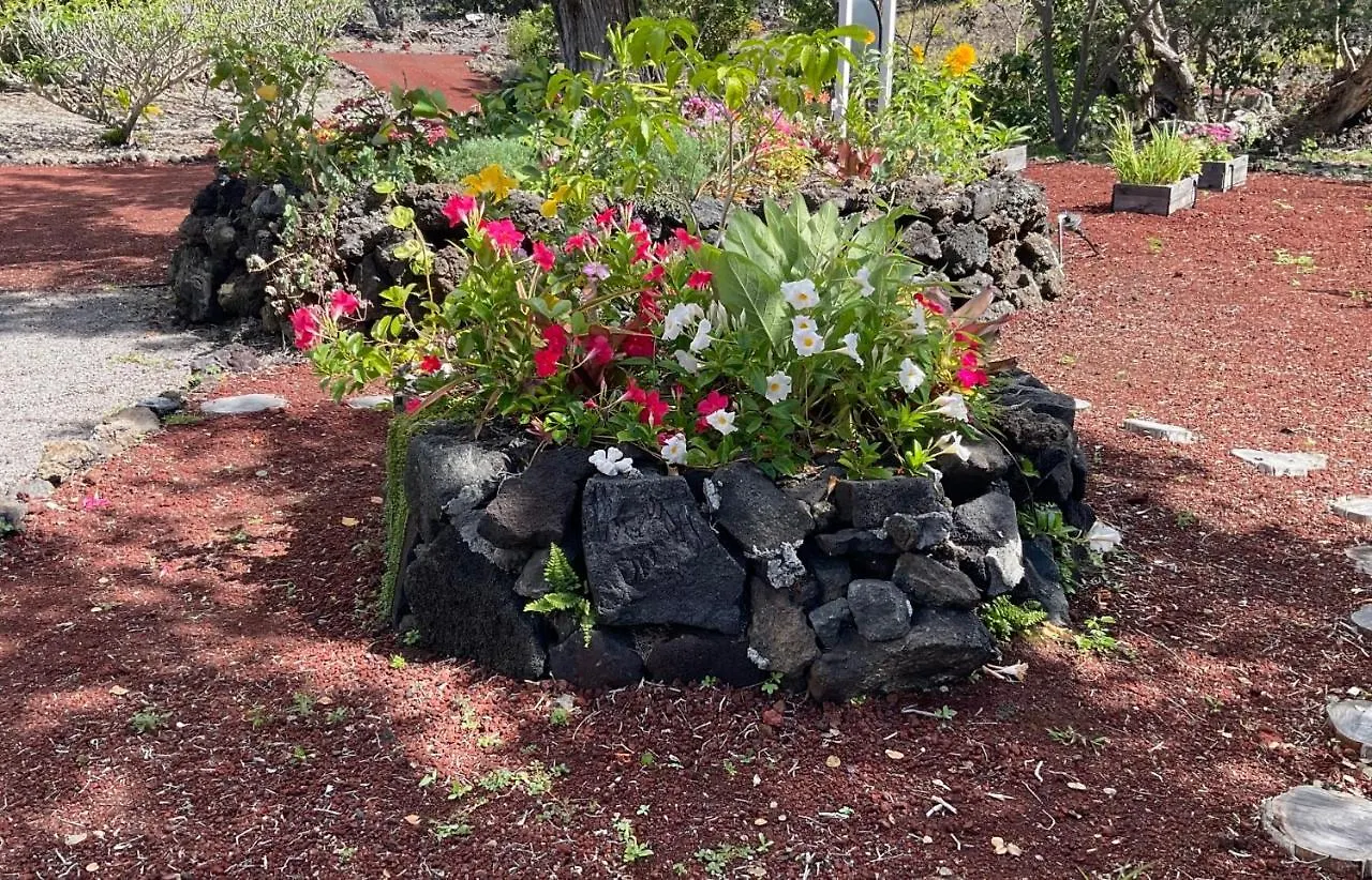 The Art Garden- Hibiscus Guesthouse Hawaiian Ocean View