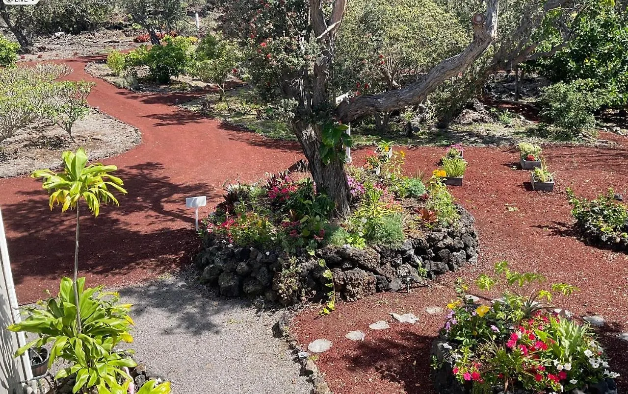The Art Garden- Hibiscus Guesthouse Hawaiian Ocean View USA
