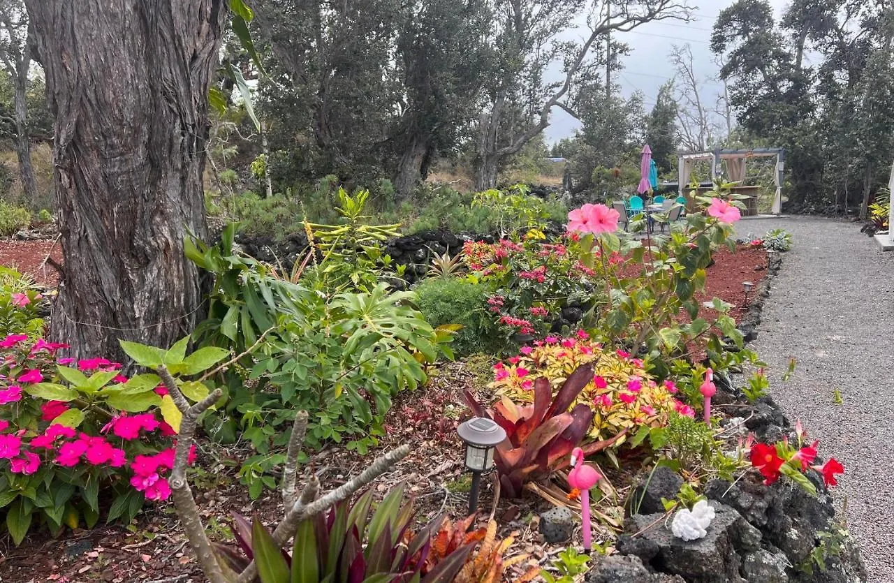 Σπίτι διακοπών The Art Garden- Hibiscus Guesthouse Hawaiian Ocean View Ηνωμένες Πολιτείες της Αμερικής
