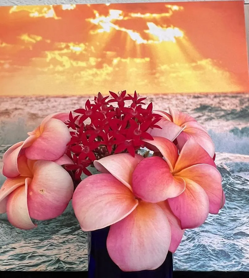 The Art Garden- Hibiscus Guesthouse Hawaiian Ocean View Σπίτι διακοπών