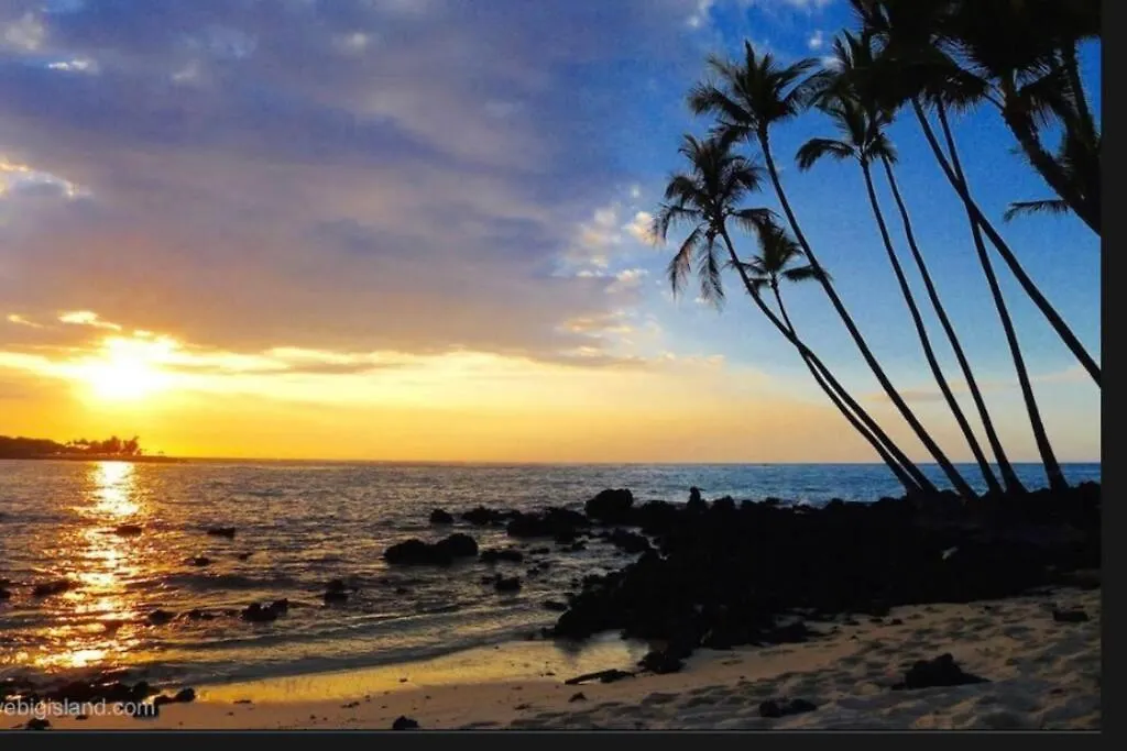 The Art Garden- Hibiscus Guesthouse Hawaiian Ocean View Σπίτι διακοπών
